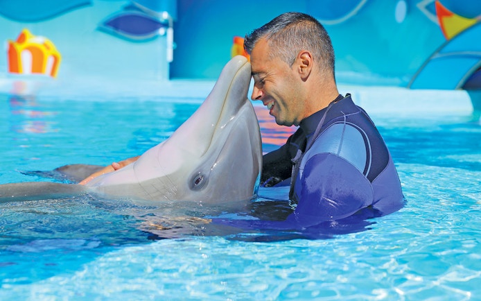 Dolphin interaction at Zoomarine Portugal.