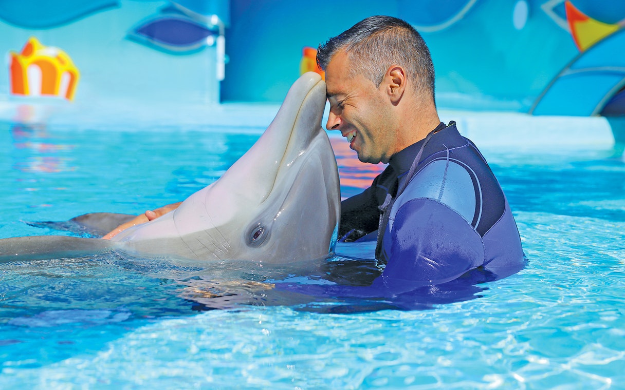 Man interacting with a dolphin at Zoomarine Water Park.