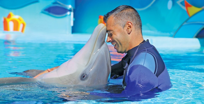 Visitors enjoying dolphin show at Zoomarine Water Park, Albufeira, Portugal with 1-day tickets.