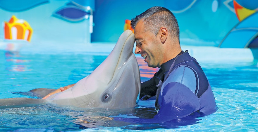 Visitors enjoying dolphin show at Zoomarine Water Park, Albufeira, Portugal with 1-day tickets.