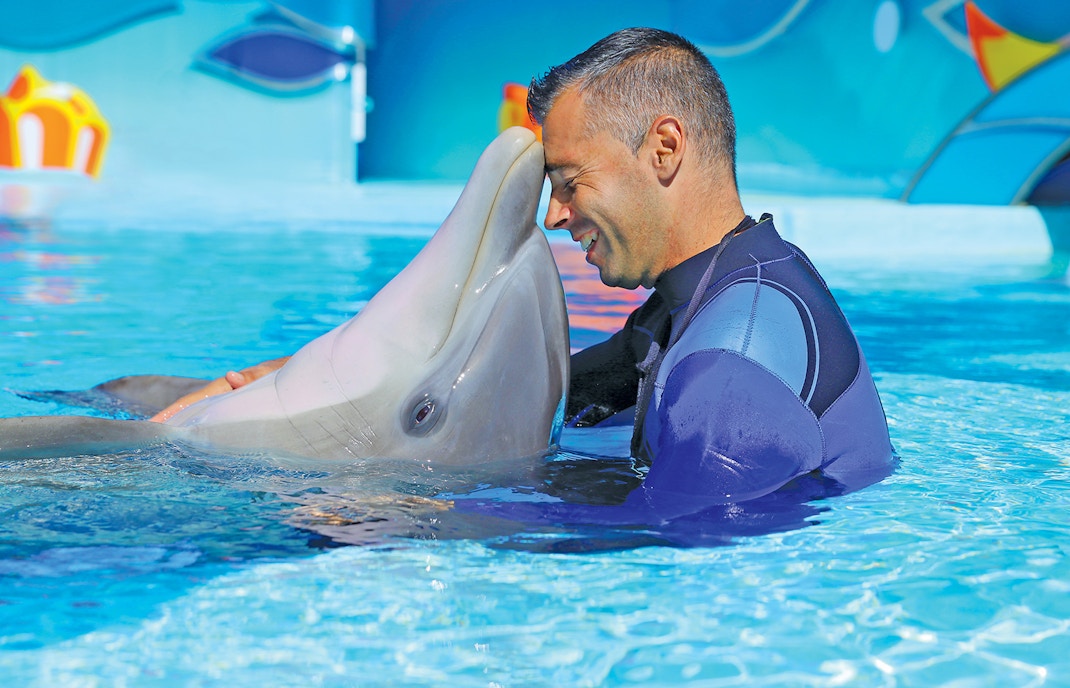Visitors enjoying dolphin show at Zoomarine Water Park, Albufeira, Portugal with 1-day tickets.
