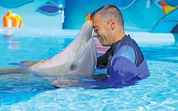 Visitors enjoying dolphin show at Zoomarine Water Park, Albufeira, Portugal with 1-day tickets.