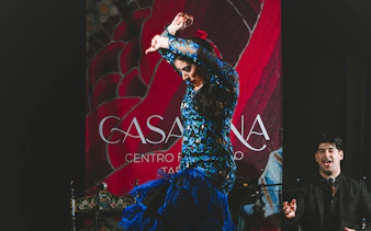 Flamenco dancer performing at Casa Ana Flamenco Show with a singer in the background.
