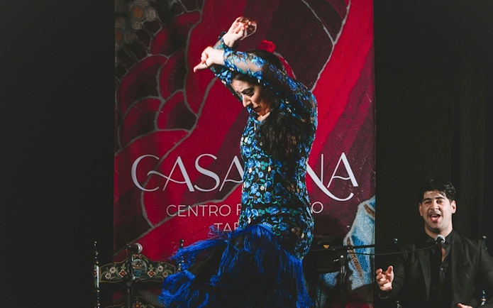 Flamenco dancer performing at Casa Ana Flamenco Show with a singer in the background.