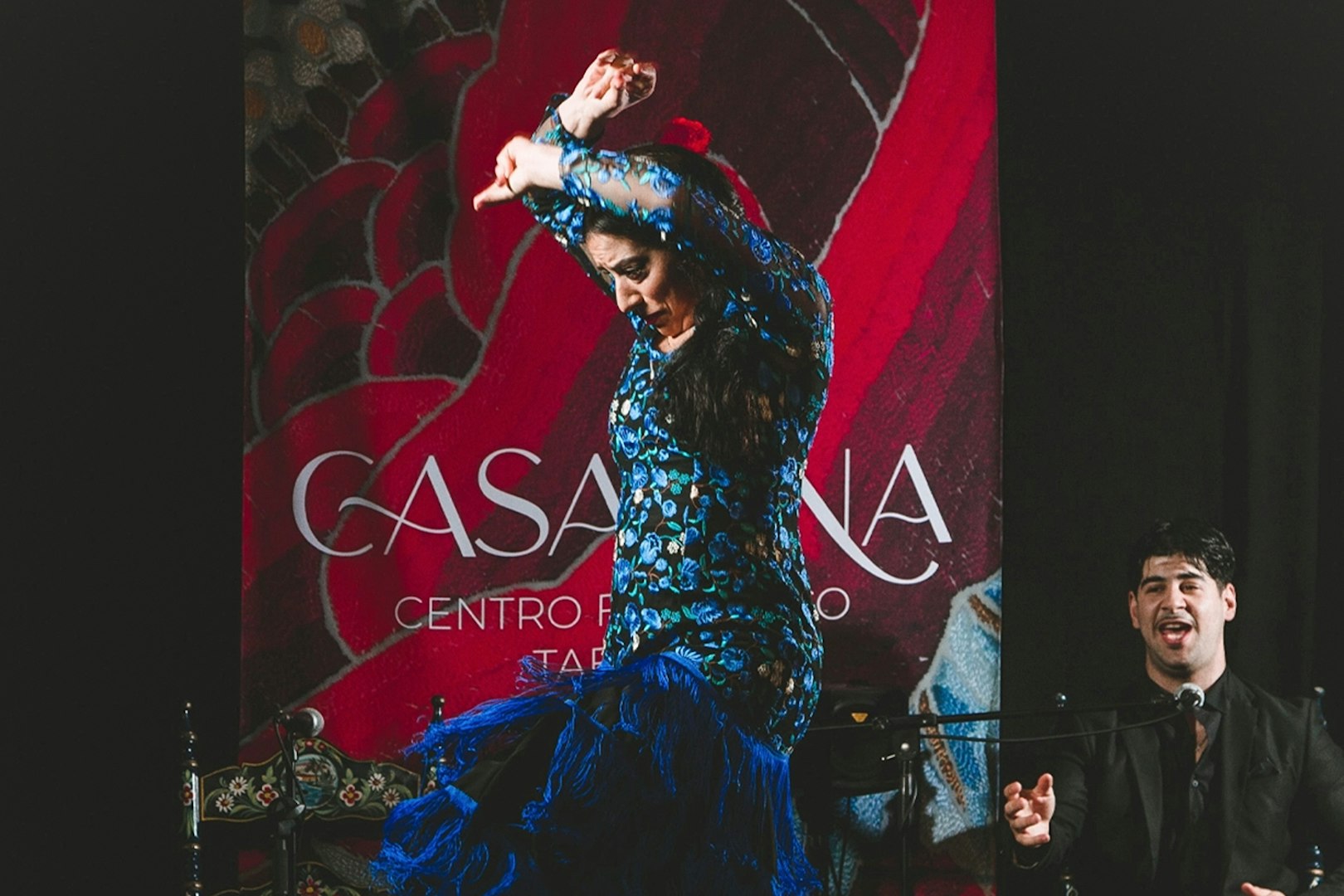 Flamenco dancer performing at Casa Ana Flamenco Show with a singer in the background.