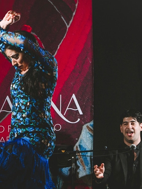Flamenco dancer performing at Casa Ana Flamenco Show with a singer in the background.
