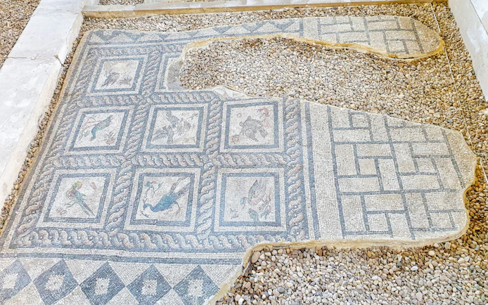 Mosaic panel depicting birds from the Villa of Birds in Kom El-Deka, Alexandria.