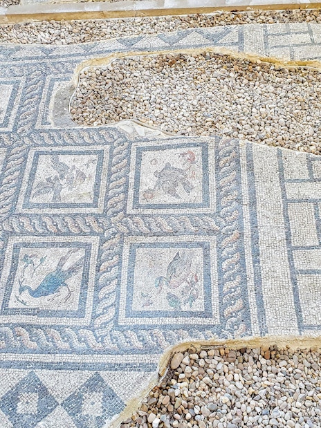 Mosaic panel depicting birds from the Villa of Birds in Kom El-Deka, Alexandria.