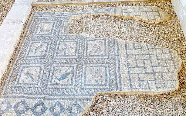 Mosaic panel depicting birds from the Villa of Birds in Kom El-Deka, Alexandria.
