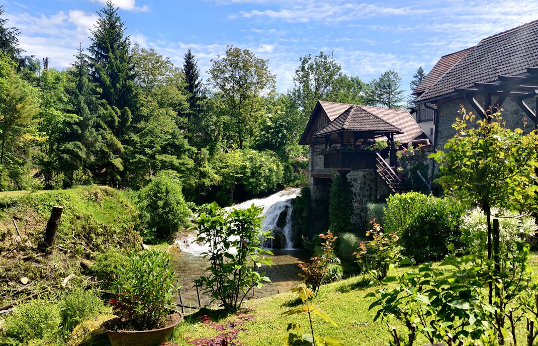 Animals at Plitvice Lakes National Park