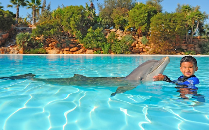 Child interacting with a dolphin in a pool at Zoomarine during the Dolphin Emotions Experience.