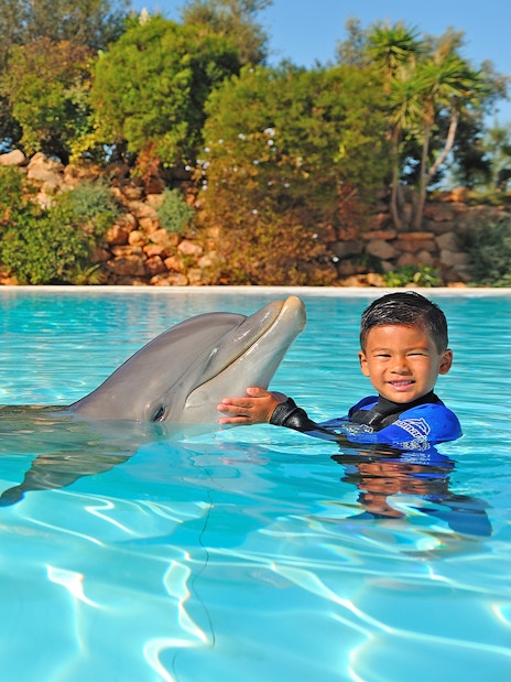 Child interacting with a dolphin in a pool at Zoomarine during the Dolphin Emotions Experience.