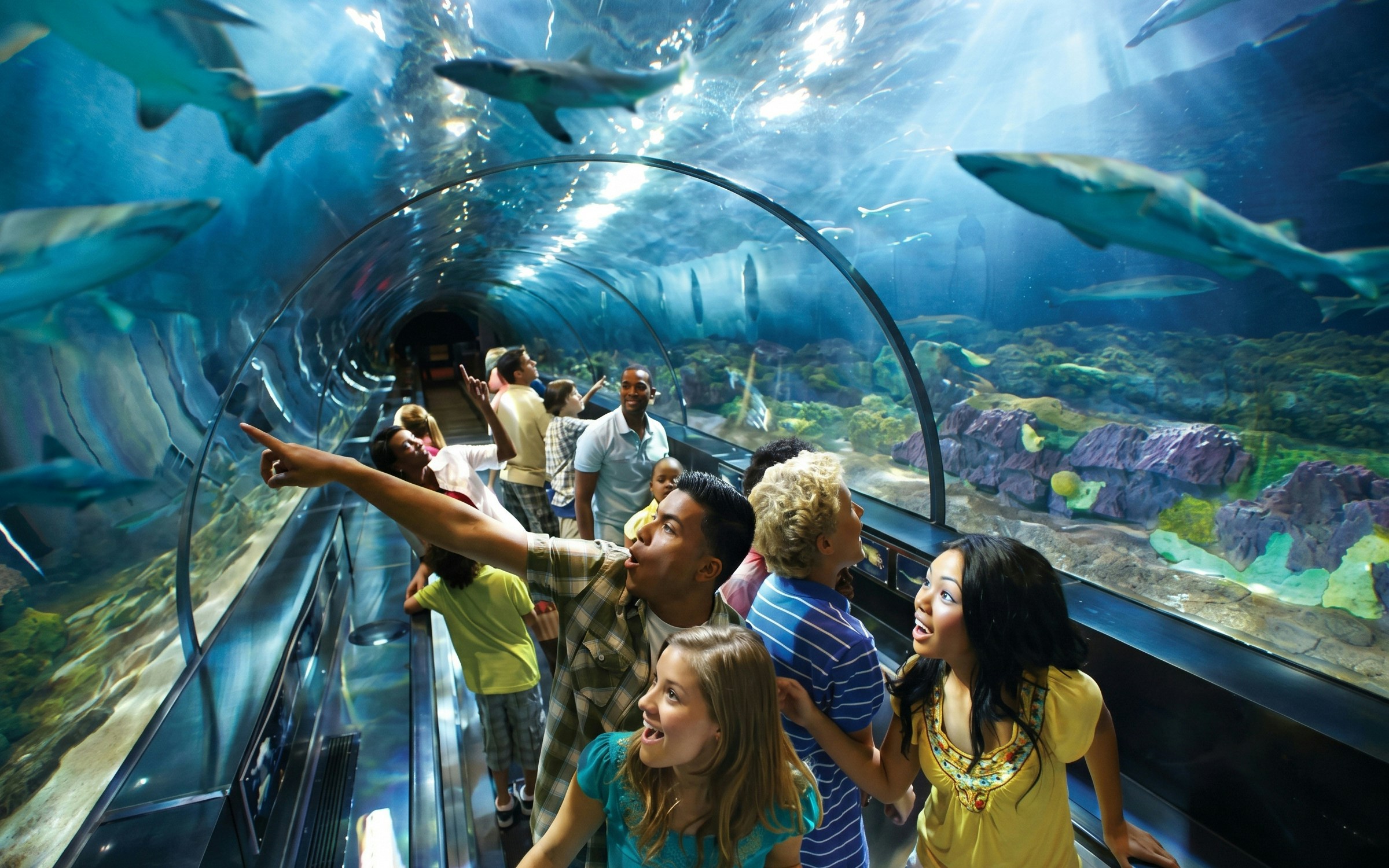 Visitors in an underwater tunnel at SeaWorld Parks and Entertainment, observing sharks above.