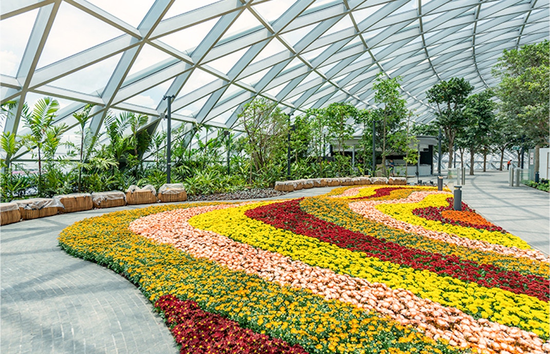 Hedge Maze Jewel Changi