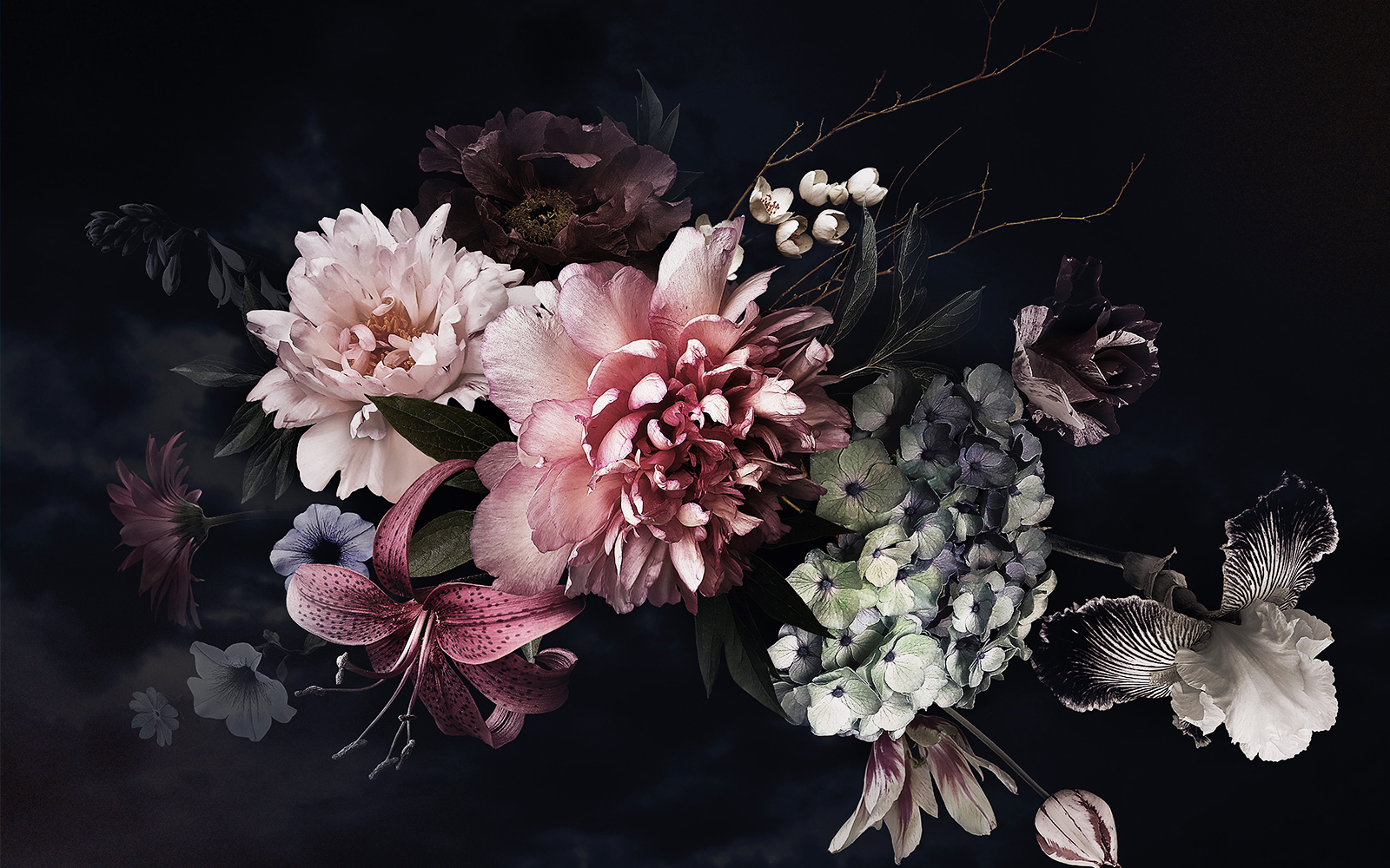 Weltmuseum Wien Exhibition