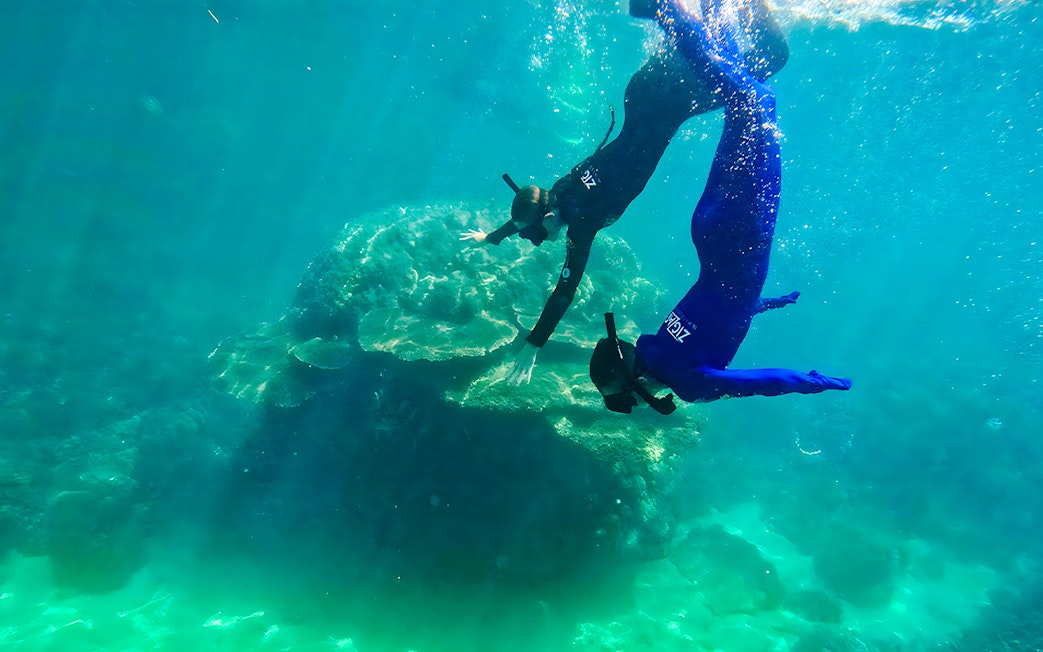 Snorkelers exploring coral reef on ZigZag Whitsundays Day Tour.