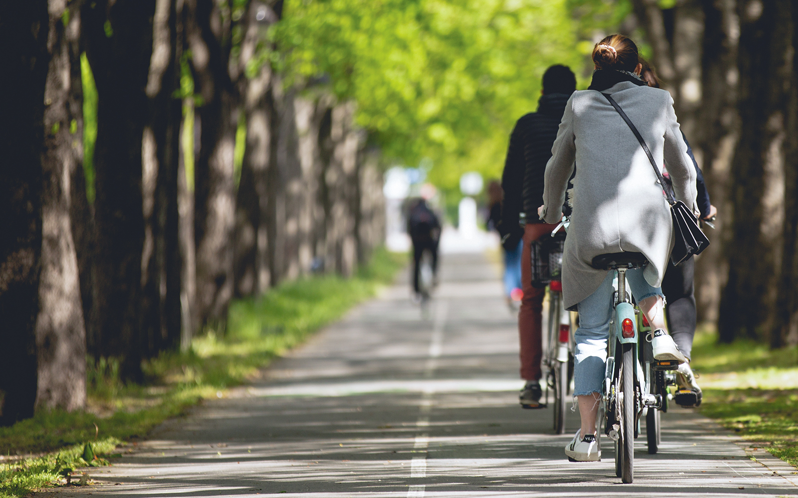 Cyclists on a tree-lined path heading to Bateaux Parisiens departure point.