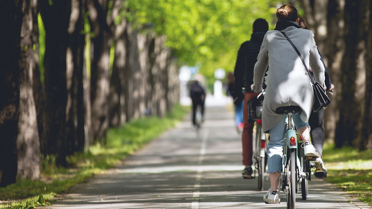 Cyclists on a tree-lined path heading to Bateaux Parisiens departure point.