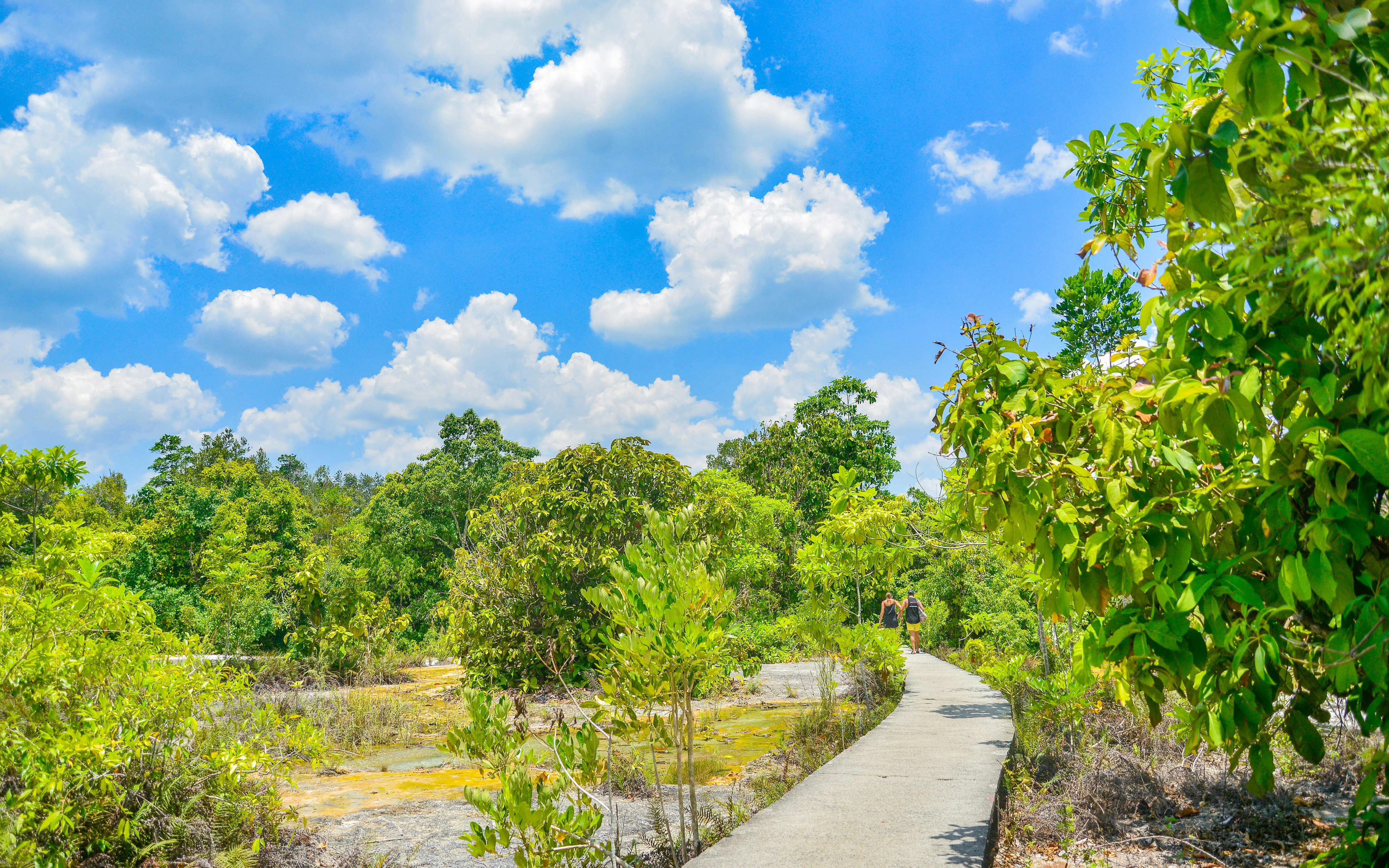 Pathway through lush greenery in Krabi, Thailand, part of the Nature Escape tour.