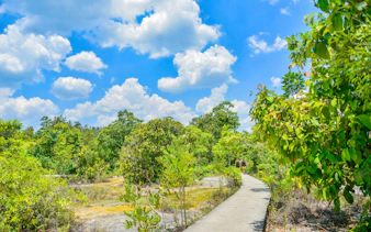 Pathway through lush greenery in Krabi, Thailand, part of the Nature Escape tour.