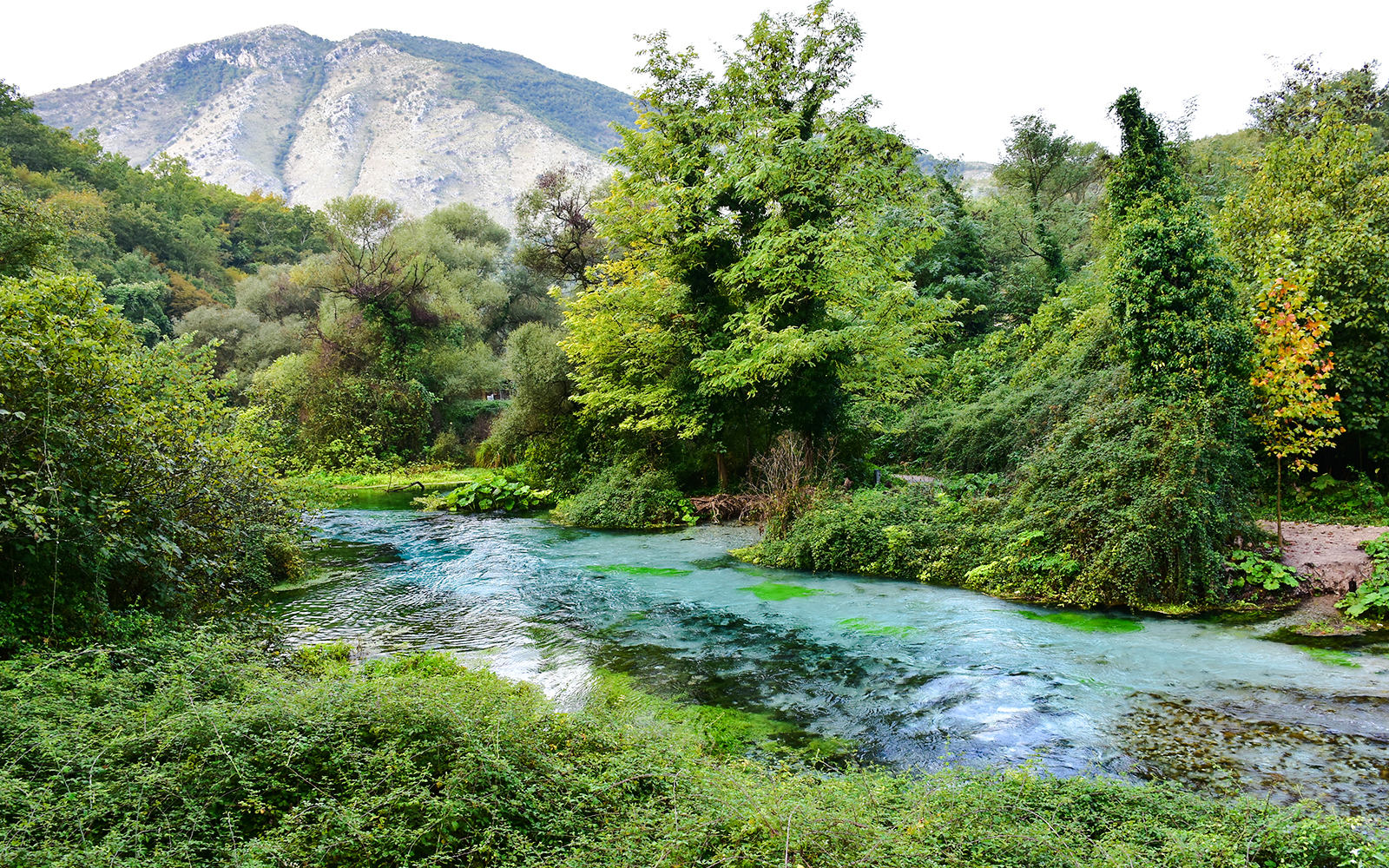 Blue Eye spring surrounded by lush greenery and mountains in Albania.