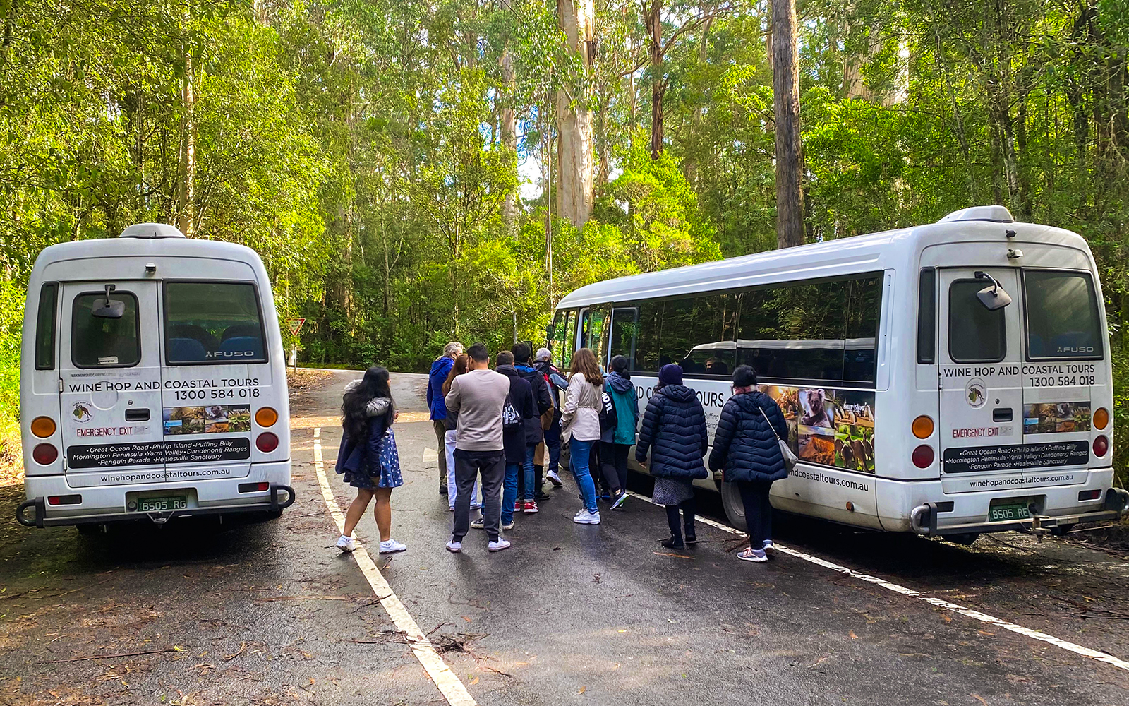 Tourists boarding buses for a forest walk on the Great Ocean Road Day Tour.
