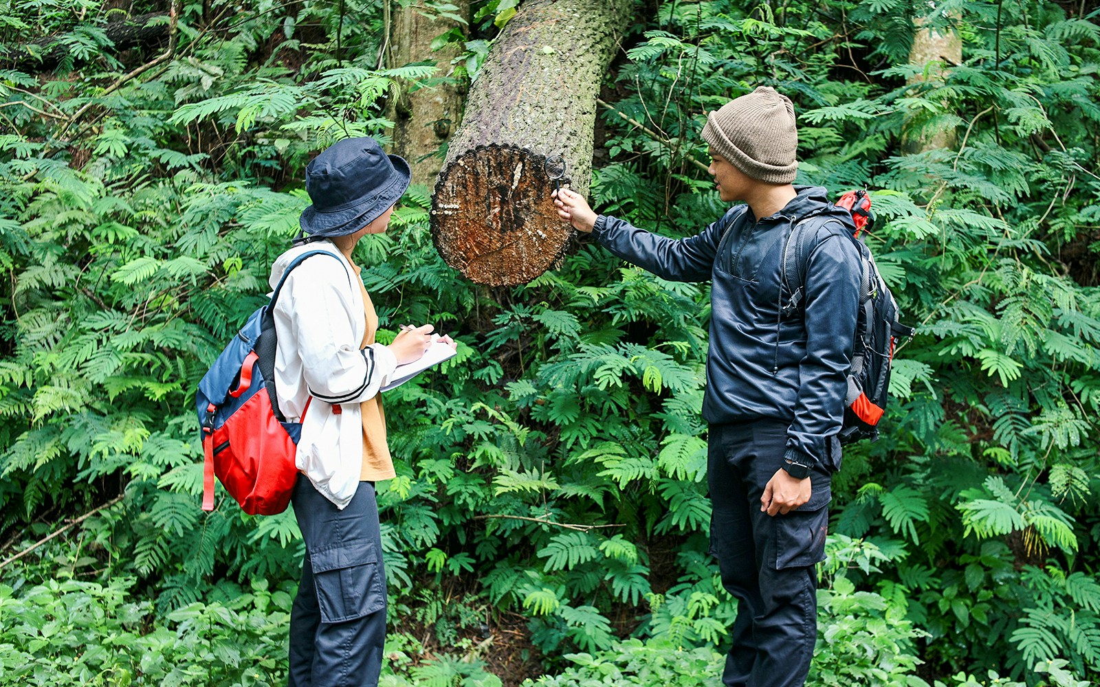 Dois homens observando plantas tropicais em uma selva da Tailândia.