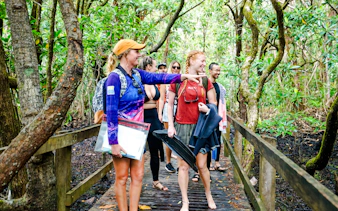 Group on a boardwalk tour through lush forest near the Great Barrier Reef.