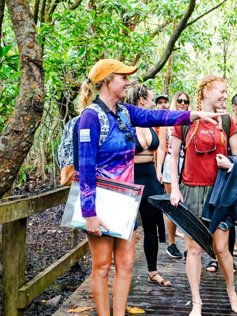 Group on a boardwalk tour through lush forest near the Great Barrier Reef.
