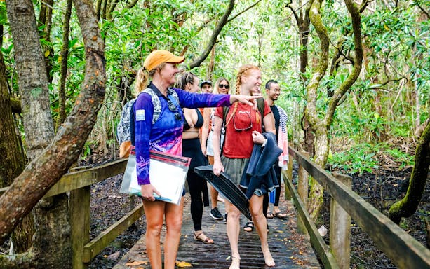 Group on a boardwalk tour through lush forest near the Great Barrier Reef.