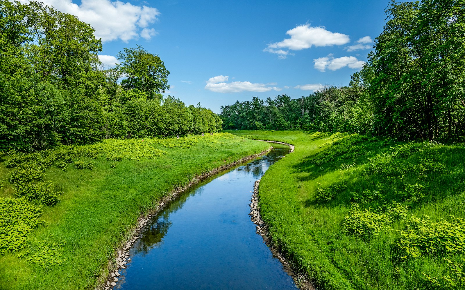 Leipzig sightseeing cruises
