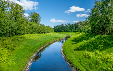 Auwald forest view with a winding river in Leipzig during a 2-hour motorboat tour.