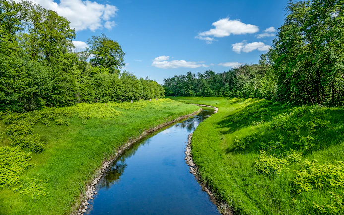 Auwald forest view with a winding river in Leipzig during a 2-hour motorboat tour.