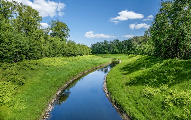 Auwald forest view with a winding river in Leipzig during a 2-hour motorboat tour.
