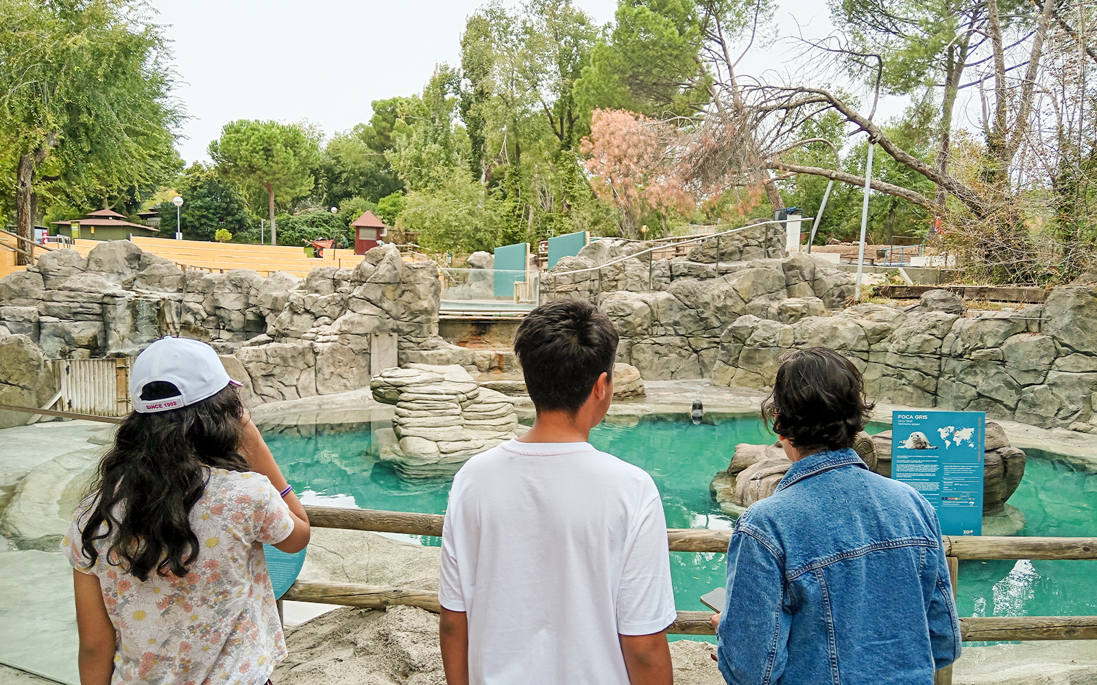 Visitors observing the sea lion pool at Madrid Zoo Aquarium.
