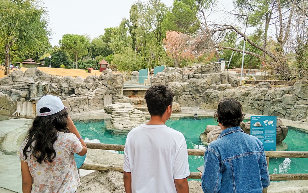 Visitors observing the sea lion pool at Madrid Zoo Aquarium.