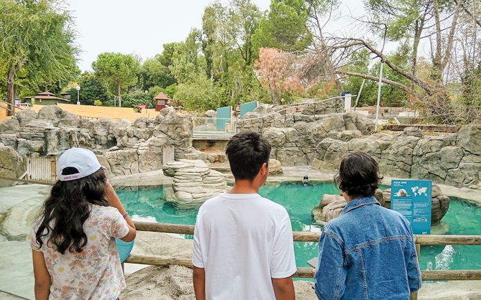 Visitors observing the sea lion pool at Madrid Zoo Aquarium.