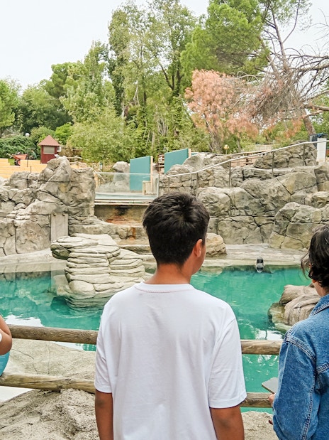 Visitors observing the sea lion pool at Madrid Zoo Aquarium.