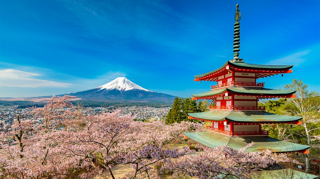 Quick Facts about Fuji Five Lakes