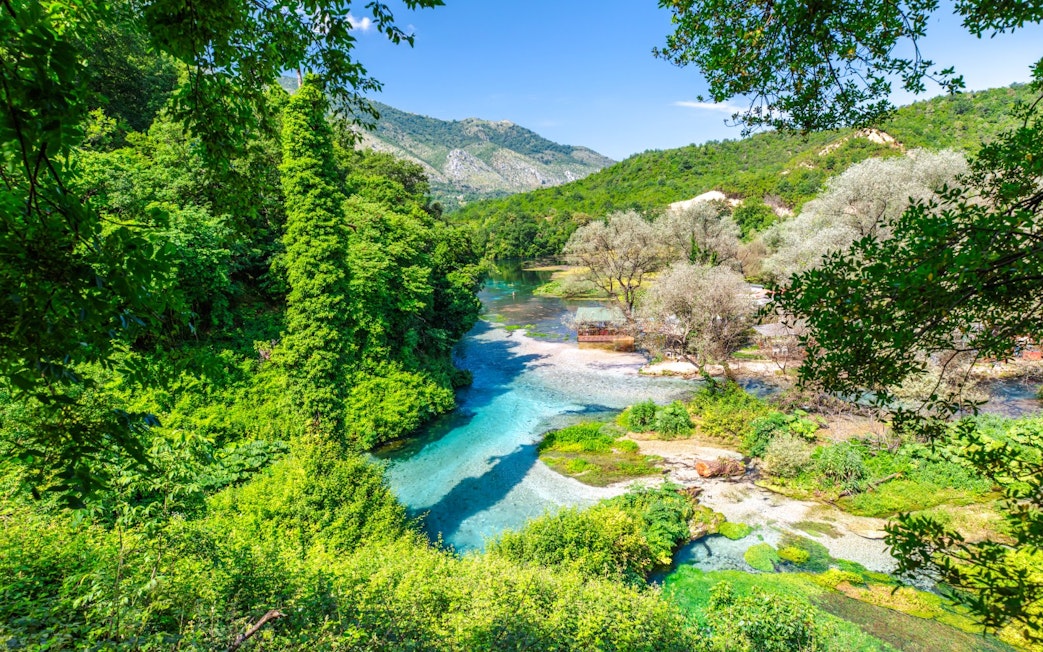 Blue Eye water spring surrounded by lush greenery in Albania.