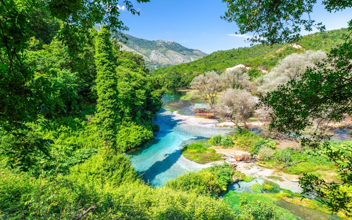 Blue Eye water spring surrounded by lush greenery in Albania.