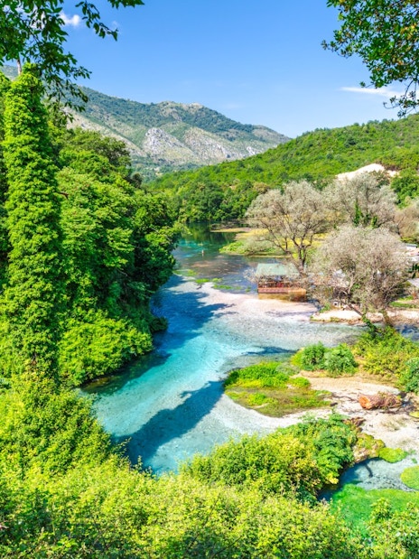 Blue Eye water spring surrounded by lush greenery in Albania.