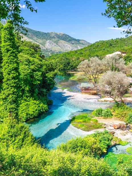 Blue Eye water spring surrounded by lush greenery in Albania.