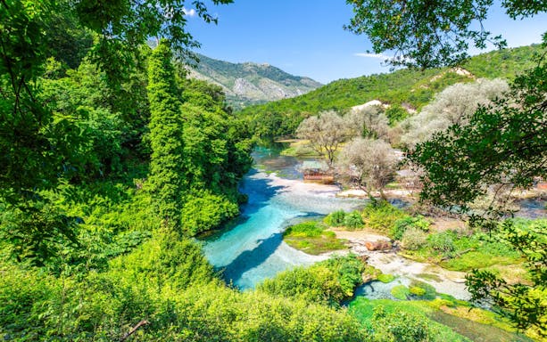 Blue Eye water spring surrounded by lush greenery in Albania.