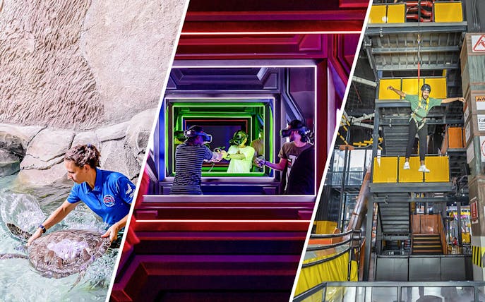 TNA General Admission with turtle interaction, Pixoul Gaming VR experience, Adrenark Adventure high ropes course.