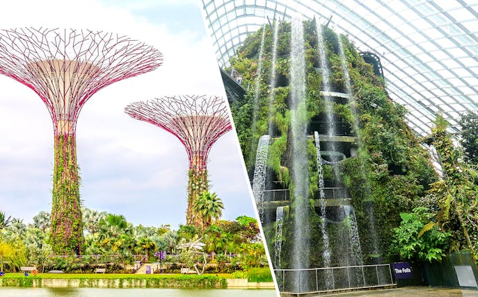 Gardens by the Bay's Supertree Grove and Cloud Forest waterfall in Singapore.