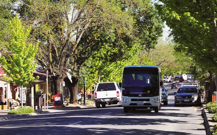 Street view of Hahndorf in Adelaide Hills with cars and lush trees lining the road.
