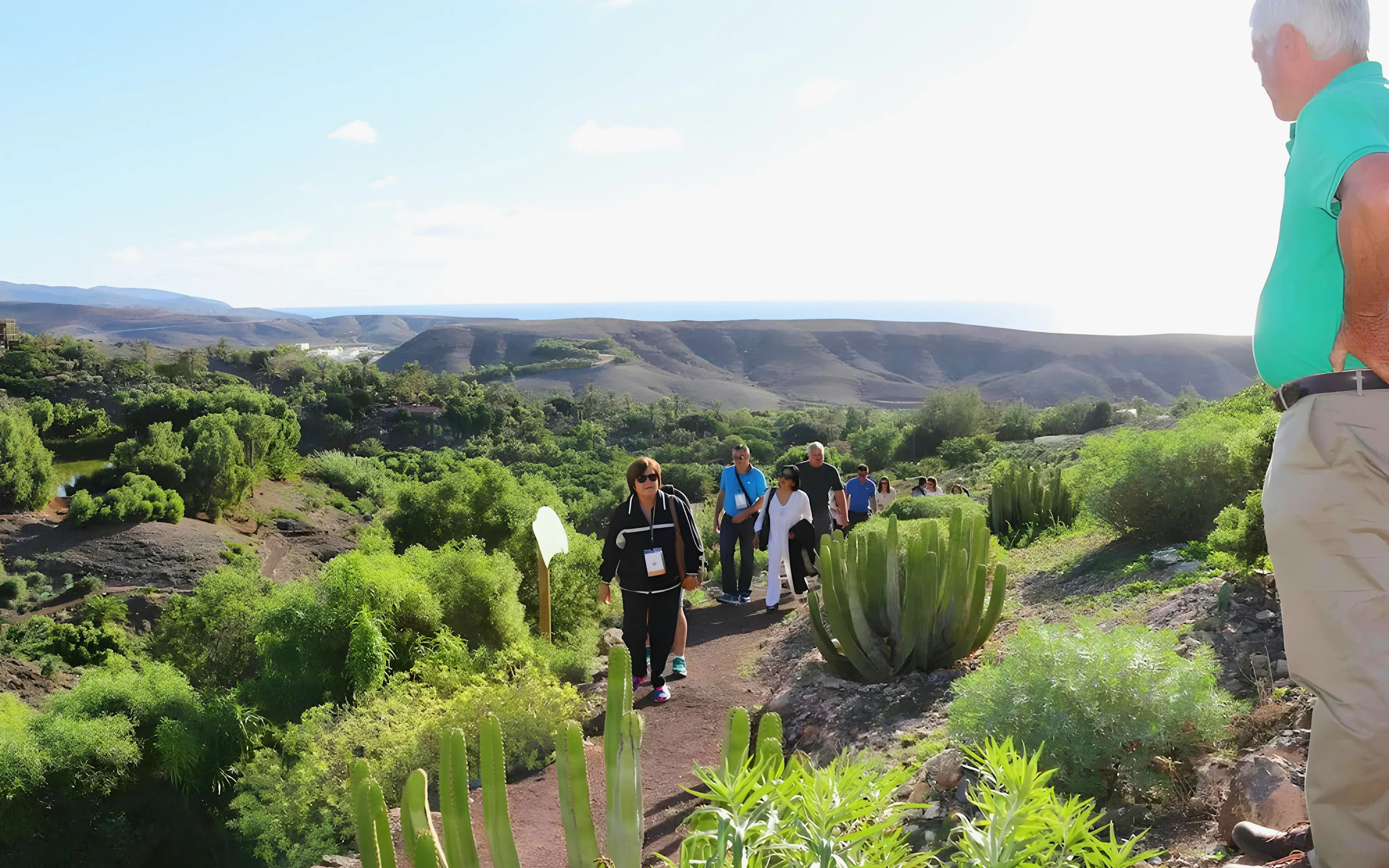 Group hiking through lush landscape on Oasis Wildlife trek.