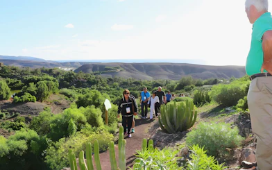 Group hiking through lush landscape on Oasis Wildlife trek.