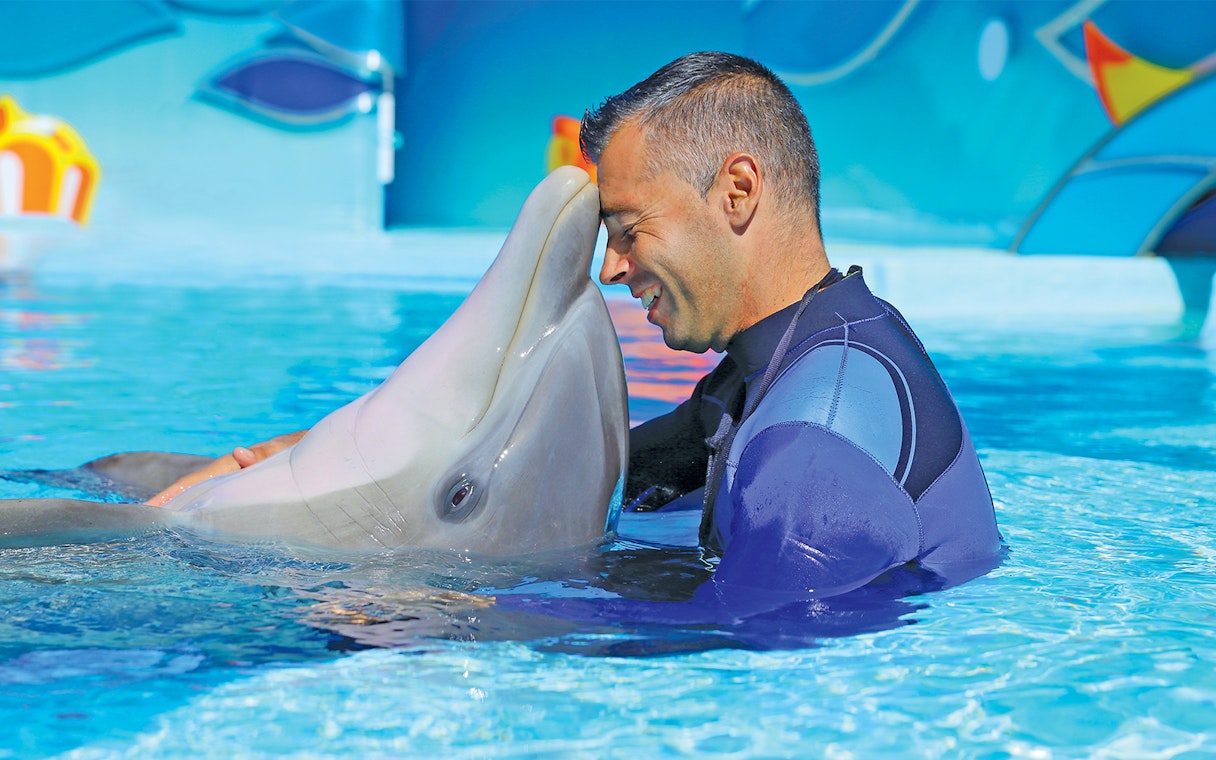 Man interacting with a dolphin at Zoomarine's Dolphin Emotions Experience.